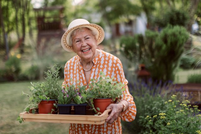 Elderly woman gardener